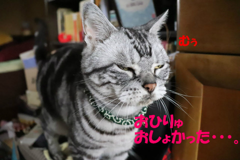 ちこくちまちたよな?