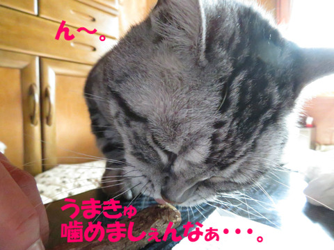 BlogPaint