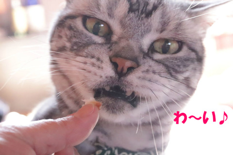 食べう~。