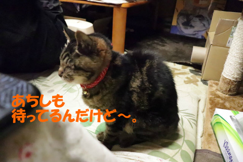 お腹空いたわ~。