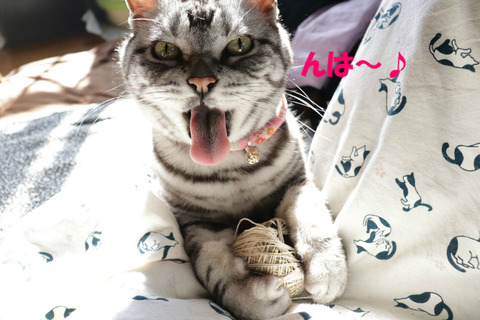 たのち~♪