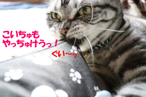 この~!