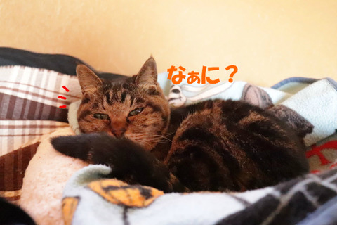 ?