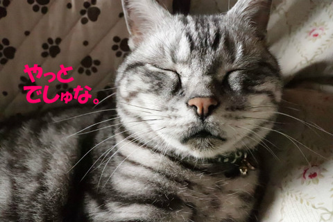 んもぉ。