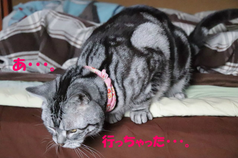 ・・・?
