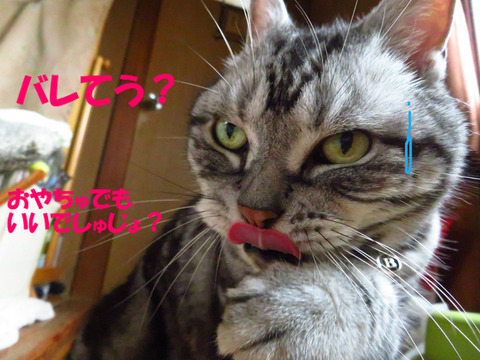 ちっ。