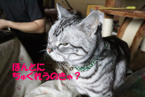 BlogPaint