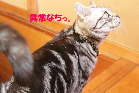 うむっ!
