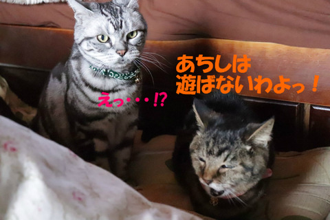 !?