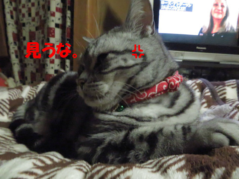 おいら、笑わえてう?