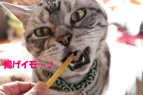 食べう~!