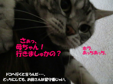 進め~♪