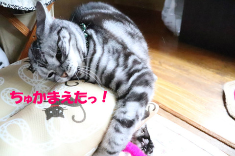 えいっ!