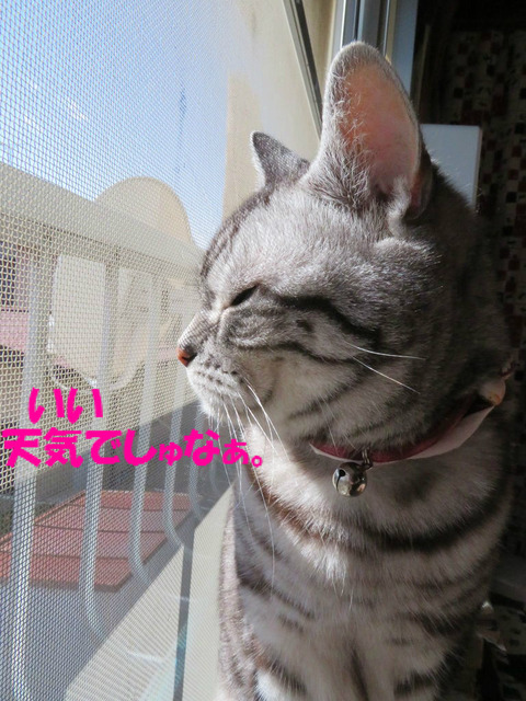 ふい~。