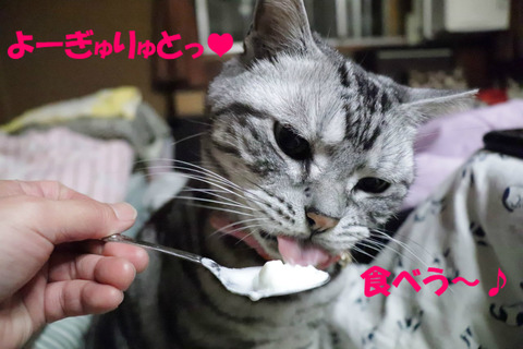 こえ、しゅき~♥
