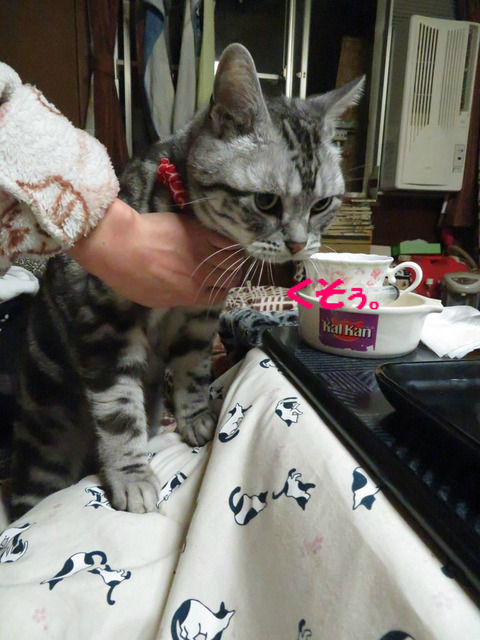 手ぇどけて。