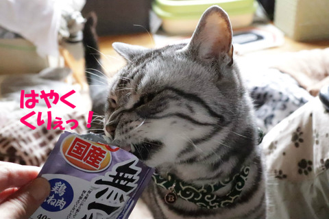 食べう~!