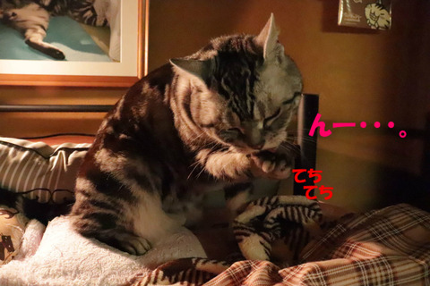 どうしましゅかの~?