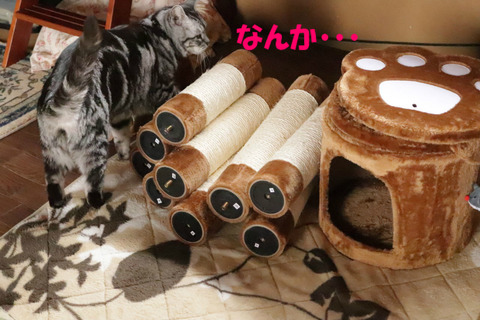お~。