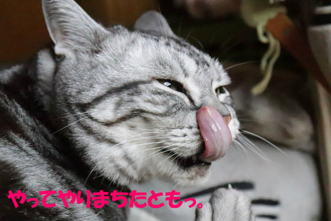 BlogPaint