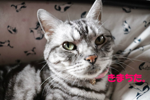 ん?