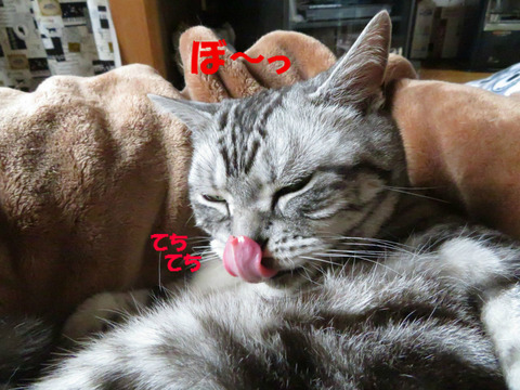 眠い・・・。