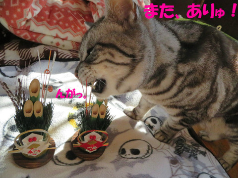 こうちてやりゅ!