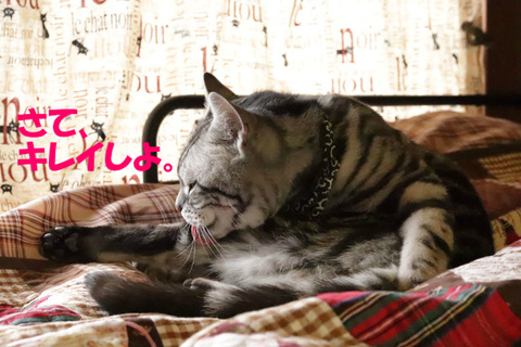 ふふ~ん♪