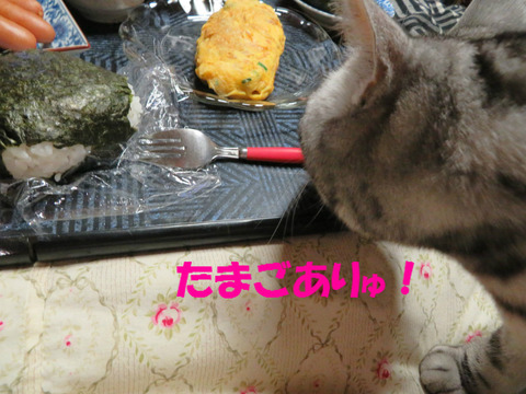 おいらも食べう!