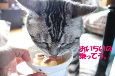 うみゃ~い♪