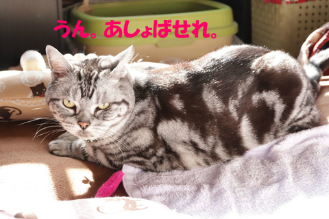 さぁっ!