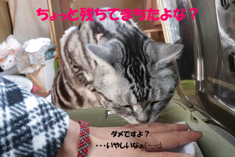 そえ、食べう~♪