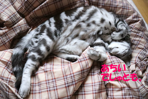 ふぃ~。