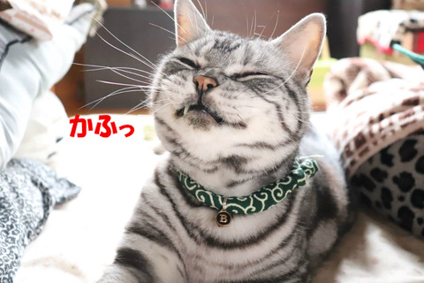 ふぃ~。
