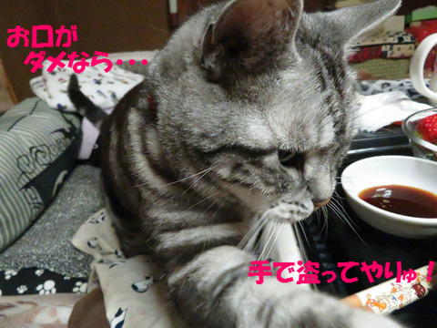 えいっ!