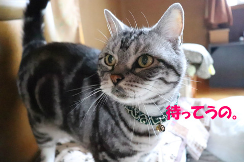 まだかな~?
