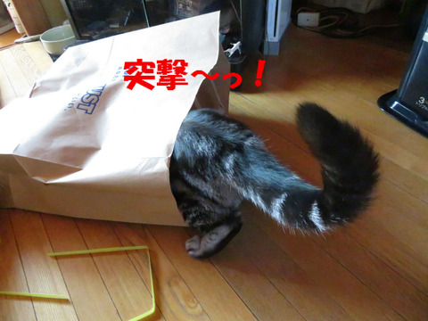 とおっ!