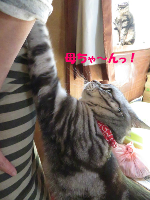 印付けう~っ!