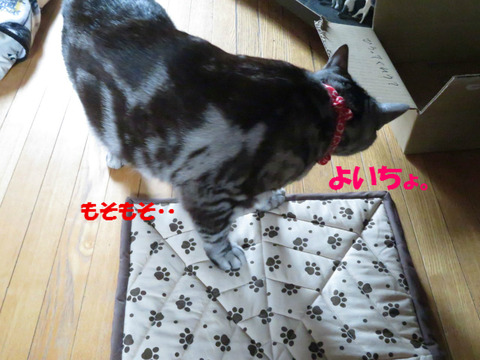 さて、と。
