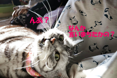 ?