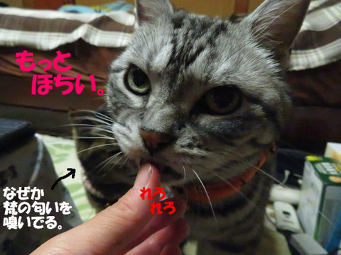ねぇ。