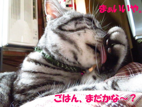 ~♪
