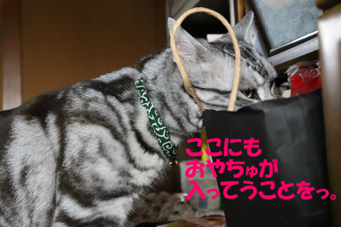 ほちいな~。