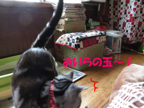 おぉっ、ここにっ!