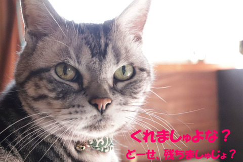 ねっ?