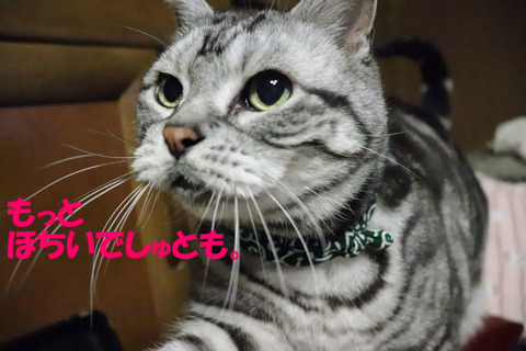 おイモ~♪