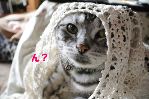 ?