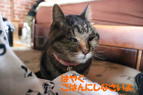 待ってるんだけど?