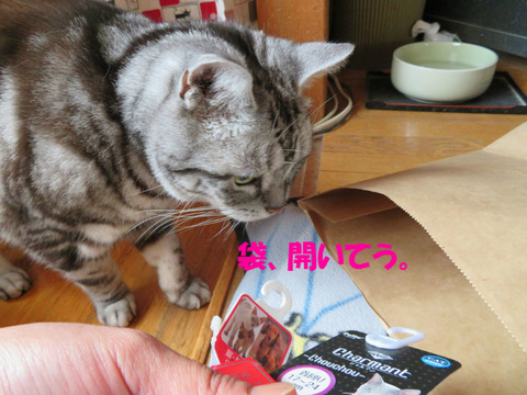 入れう?