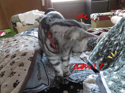 なんか動きまちたかっ?